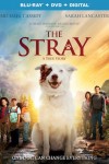 The Stray DVD poster