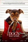 A Dogs Way Home poster
