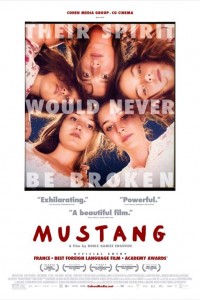 Mustang poster