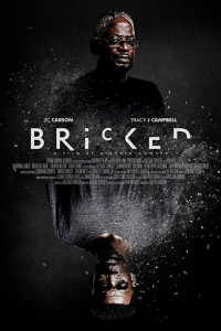Bricked poster