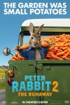 Peter Rabbit 2