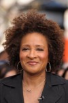 Wanda Sykes photo