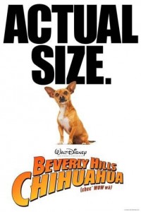 Beverly Hills Chihuahua poster