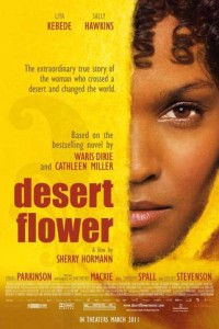 Desert Flower poster