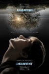 insurgent_ver15