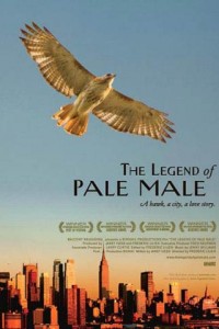 Legend Of Pale Male poster