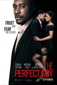 The Perfect Guy poster
