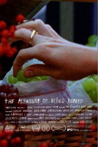 The Pleasure Of Being Robbed poster