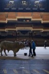 The Paris Opera still