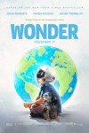 wonder_ver12
